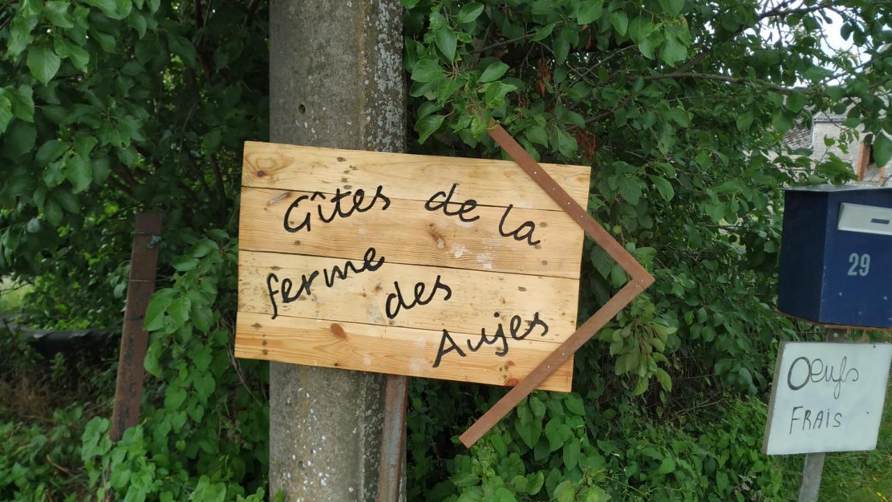 Gite Familial Ferme Des Aujes Falaen Onhaye Экстерьер фото