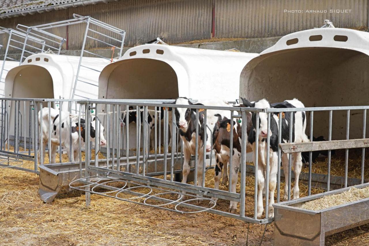 Gite Familial Ferme Des Aujes Falaen Onhaye Экстерьер фото